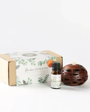 Banksia Aroma Pod - Small Eucalyptus Gift Box