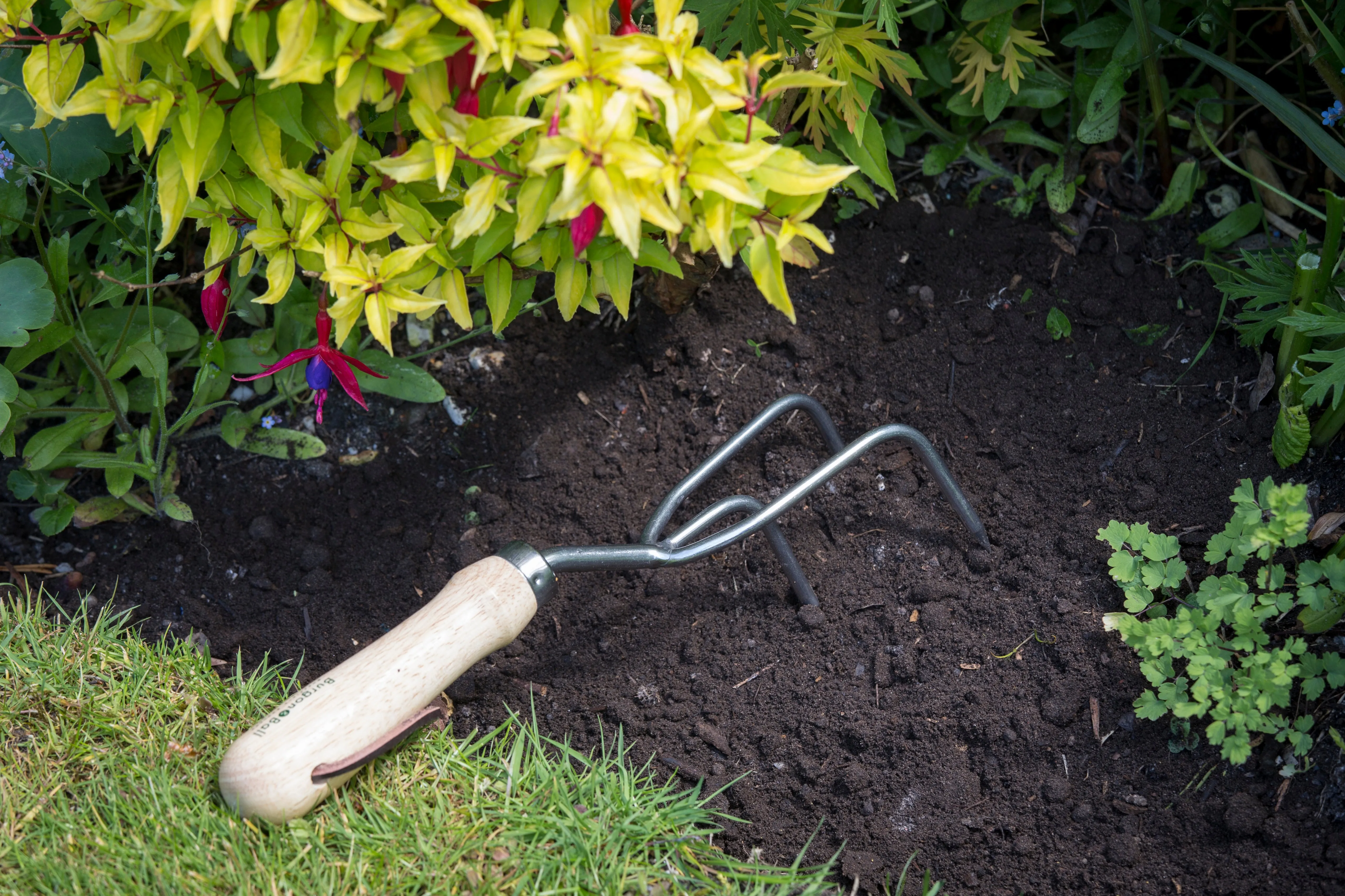 Burgon & Ball RHS Claw Cultivator