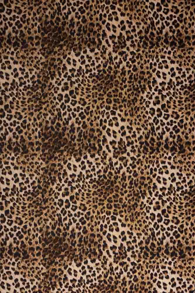 Rockett St George Wild Leopard Love Wallpaper